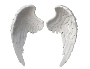 angel wings isolated on white