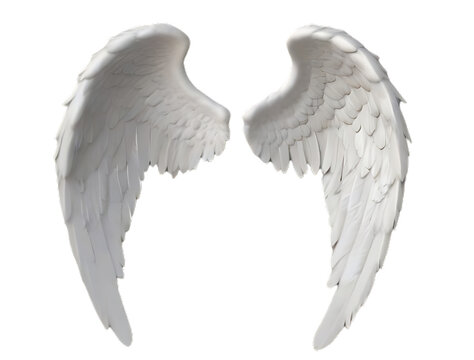 angel wings isolated on white