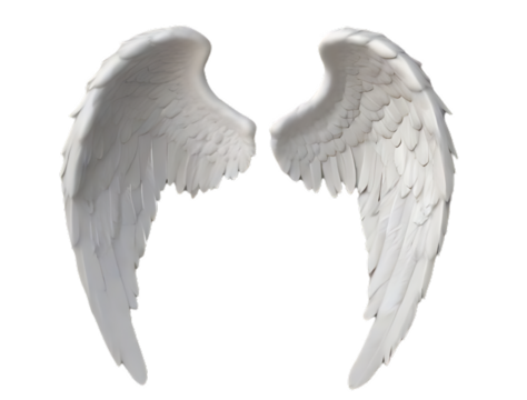 angel wings isolated on white