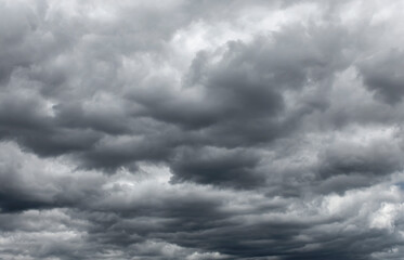 Cumulus clouds as a background in black and white.