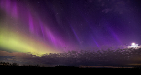 Northern Lights (Aurora Borealis) lighting up the sky on a beautiful spring night west of Ottawa,...