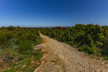 Istria Kamenjak Peninsula beautiful beaches high cliffs for jumping into the water wild nature