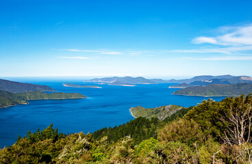 Fototapeta premium Endeavour Inlet, Marlborough Sounds, South Island, New Zealand, Oceania.