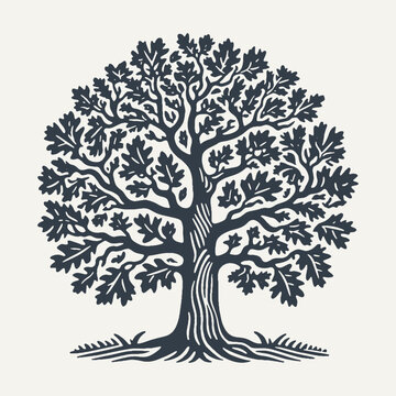 Oak tree icon. Woodcut engraving style vector illustration.