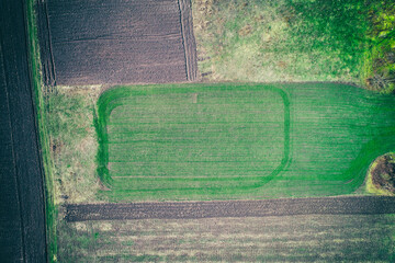 seeding crops agricultural background