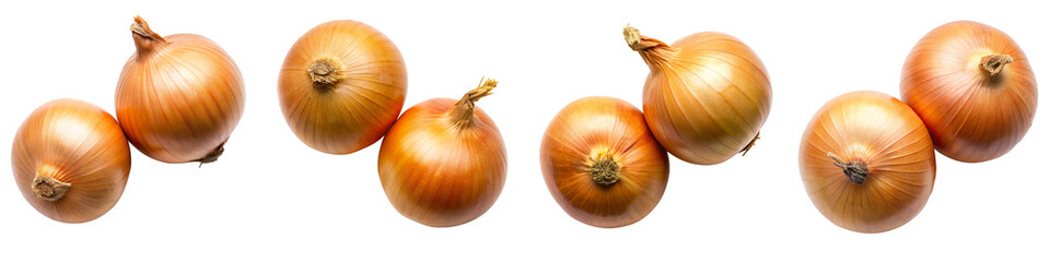 Two onion on transparent background PNG file
