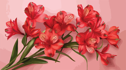 Bunch of red alstroemeria flowers on pink background