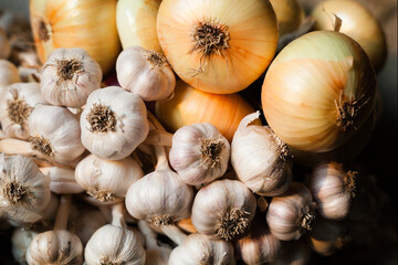 Garlic and onion. Rich harvest.