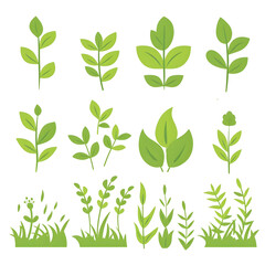 
set of A flat vector illustration of some green leaves growing on the ground in a simple and cute style, with a white background,