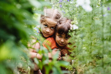 Frightened children hide in a meadow of tall grass. Children play in the summer garden.