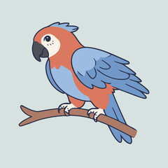 Cute Macaw vector illustration of a for toddlers books