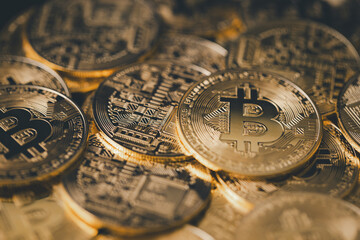 In the future, owning Bitcoin, crypto coin akin to digital gold, could make you financially rich,...
