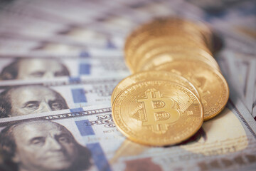 In the future, owning Bitcoin, crypto coin akin to digital gold, could make you financially rich,...