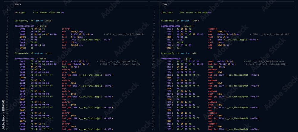 Aufkleber Hacking, Cryptography, Malware, Reverse Engineering, Data Analysis Backdrop. Assembly Code Programming Language. Machine Code Program Hexadecimal Code. Computer Memory. Vector Illustration. 