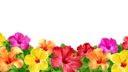 ハイビスカスのフレーム　素材　枠　飾り枠　見出し　表紙　夏休み　バカンス　南国　旅行　華やか　おしゃれ　暑中見舞い　暑中お見舞い　白背景　白バック　透過　16:9 © あんもち