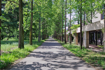 Naklejka premium 大学のキャンパス