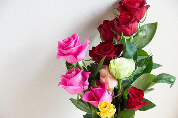 色とりどりのバラ