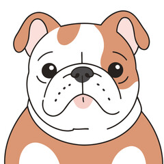 Cute vector illustration of a Bulldog for kids