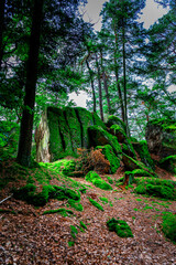 Fototapeta premium Hiking Tour on the Semmelberg in the Bavarian Forests