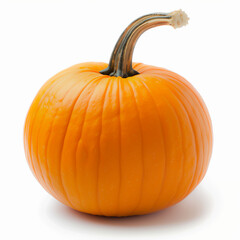 Obraz premium pumpkin isolated on white background with long stem high quality 