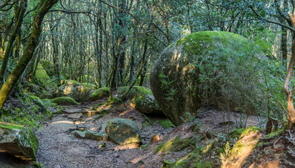 Pierres énormes dans le site préhistorique des mégalithes de Cucuruzzu à Levie, Corse, France