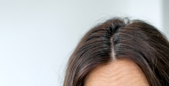 Gray hair on woman head. Hair with fragments of gray hair, hair roots requiring dyeing.