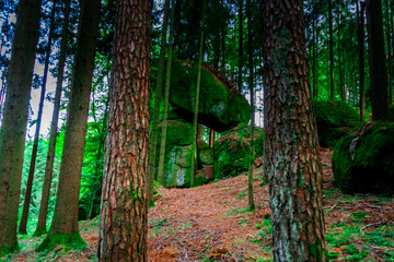 Hiking Tour on the Semmelberg in the Bavarian Forests