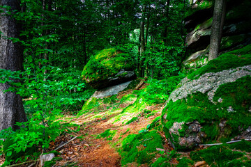 Hiking Tour on the Semmelberg in the Bavarian Forests