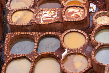 tanneries of Fez, Morocco