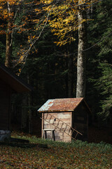 Isolated cabin in the woods during fall