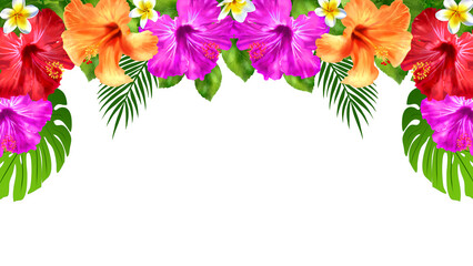 ハイビスカスのフレーム　素材　枠　飾り枠　見出し　表紙　モンステラ　ヤシ　夏休み　バカンス　南国　旅行　華やか　おしゃれ　暑中見舞い　暑中お見舞い　白背景　白バック　透過　16:9 © あんもち