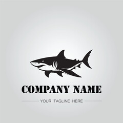 Shark silhouette illustration design for company logo vector image on the white background	
