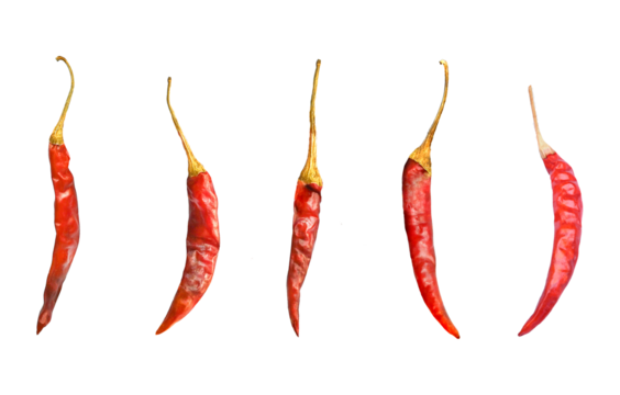 Top view of line composition chilli red peppers isolated on transparent.
