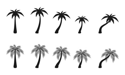 palm trees icon set. vector illustration isolated on white background.