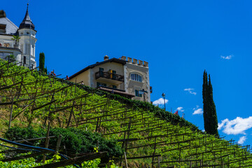 Sigths from Dorf Tyrol in South Tyrol Italy on Meran and other Landscapes.
