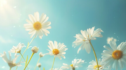 HD Background of Daisy Flowers with Bright Sky View