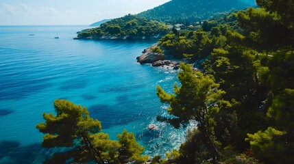 Fototapeta premium Serene Coastal Landscape with Lush Forest and Turquoise Waters