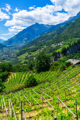 Sigths from Dorf Tyrol in South Tyrol Italy on Meran and other Landscapes.