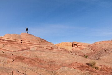 Rear view of a male hiker standing on top of the beautiful Fire Wave rock sandstone formation on a sunny day - Valley of Fire State Park, Nevada, USA