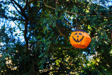 Halloween: A hanging fabric jack-o'-lantern (or jack o'lantern) in trees in a British parkland...