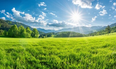 Beautiful green meadow with trees and mountains in the background, sunny day 