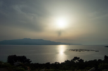 the sun rising over the sea as seen from a hill with trees