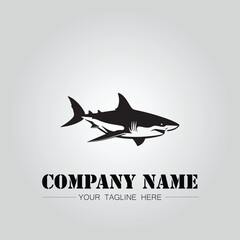 Shark silhouette illustration design for company logo vector image on the white background