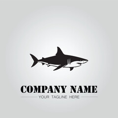 Shark silhouette illustration design for company logo vector image on the white background