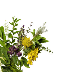 fresh vegetables isolated on white background
