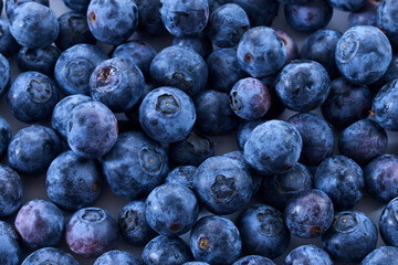 Close-up of Fresh Blueberries. A bunch of ripe blueberries filling the frame with a vivid blue hue.