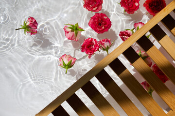 Roses Floating in Sunlit Water with Wooden Ladder