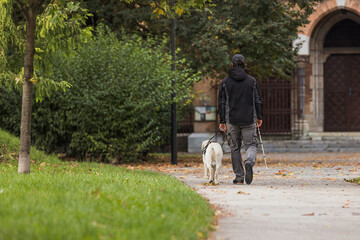 Blind man taking a walk in a city park with her trained guide dog