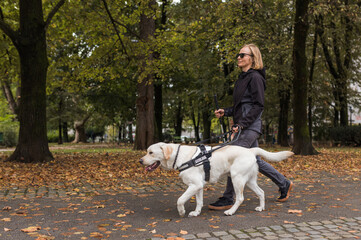 Woman with visual impairment walking with her guide dog through the city park. Assistance,...