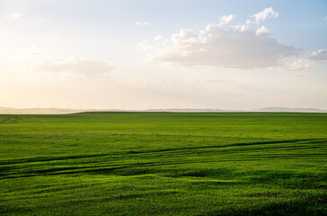 Blue sky and white clouds prairie